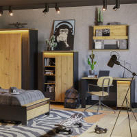 Rangement mural et éclairage SPOTLEN couleur bois et graphite