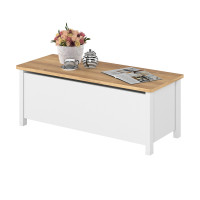 Coffre de rangement STORY blanc et chêne