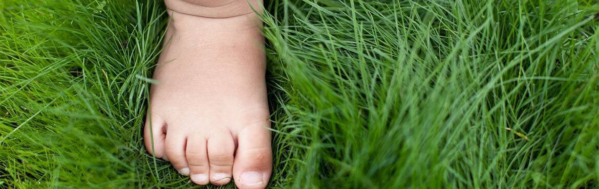 Chambre bébé Nature pour une ambiance apaisante et agréable